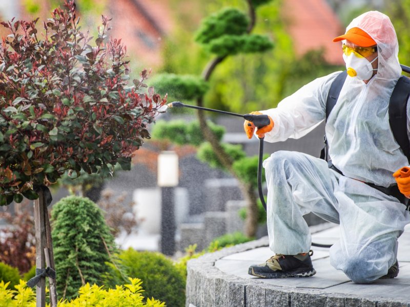 Kula Haşere İlaçlama